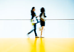 Non-Immigration Work Visas
